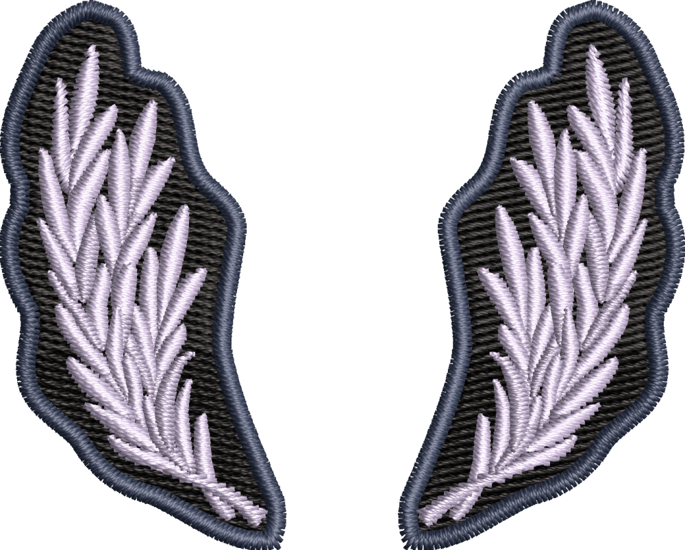 PETLITE OFITERI POLITIE